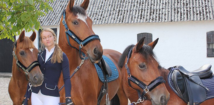 Duo-rutschfest und schnelltrocknend mit Belüftung MINK HORSE of Denmark MmAir Ultra Premium Spring schabracke 17 stoßdämpfend druckausgleichend 